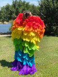 Couture Wings Rainbow Baby ~ Rental