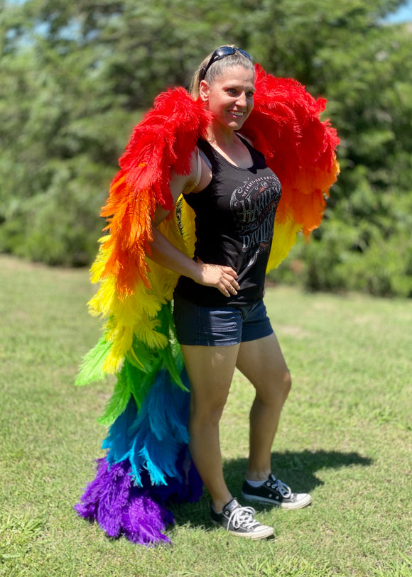LuXee Couture Angel Wings~ Rainbow Baby