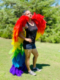 LuXee Couture Angel Wings~ Rainbow Baby