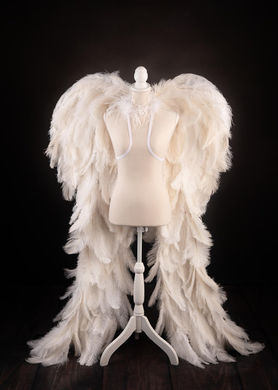 KIKKOU ネックレス（angel wings+angel wings） il_1080xN.2995629433_421r.jpg